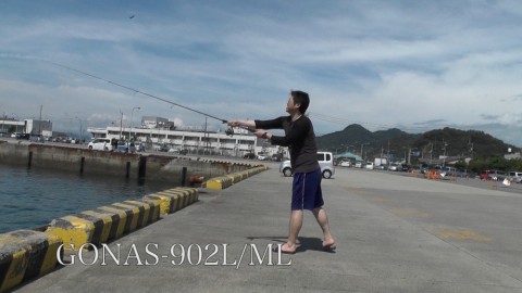 sxewspoef3mh73eezgea_480_480-df3a629a.jpg