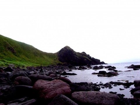 sxi9hu29ewd6iox4apxk_480_480-e63284e2.jpg