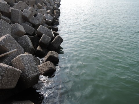 sxipeimvpwdszmk46k68_480_480-90256905.jpg