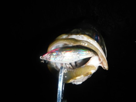 sxoeecntr2ymtina49wr_920_690-d94d1976.jpg