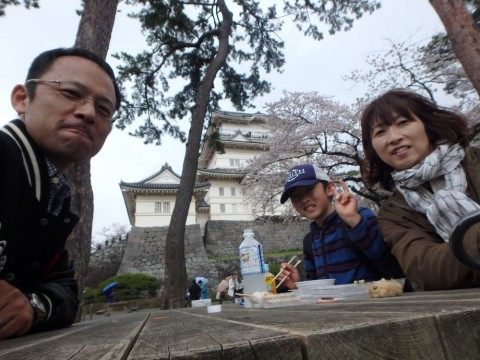 sxuif3ozcnf8sy9ypan4_480_480-455d352b.jpg