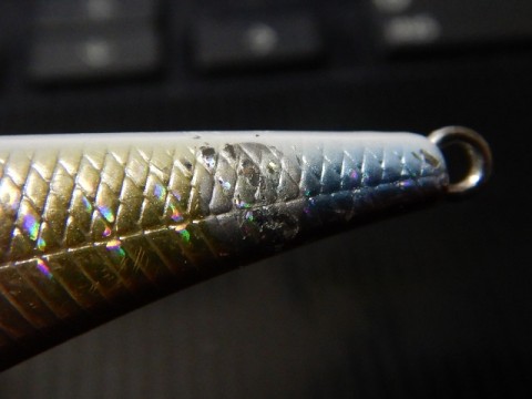 sxxsnrad96uvc3pktmhy_480_480-836f7bef.jpg