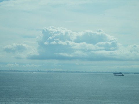 sy28uu3iujiybfe7rcp8_480_480-9f8f9da1.jpg