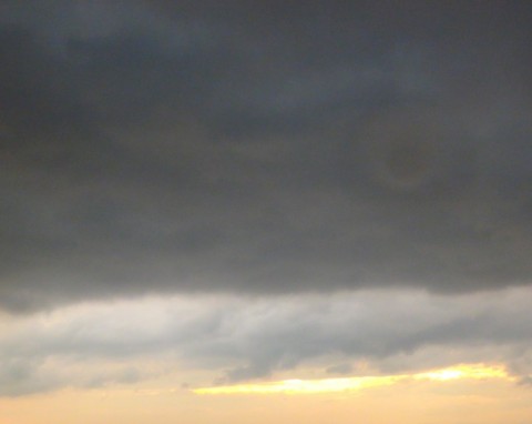 sy5e6mzi958233vr73to_480_480-f723ab45.jpg