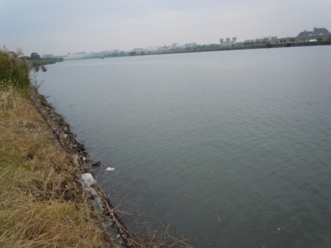 sy6a4pjxd7y2y9abikvy_480_480-1cdcfd44.jpg