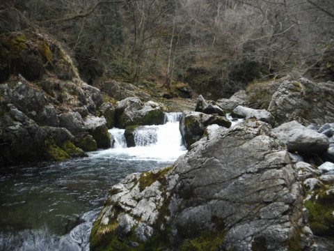 sy6czx3kw5ixcuahcxux_480_480-b1b32b16.jpg