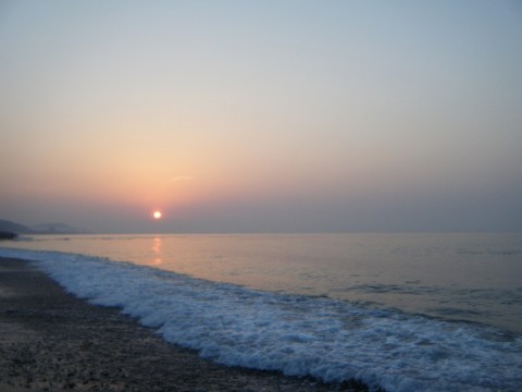 syeyivvabpdsxfdvpow2_480_480-b09108d6.jpg