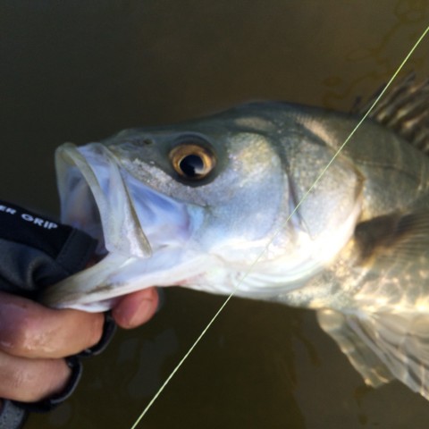 syjrc77up5tcgarxtx4i_920_920-3b17c734.jpg
