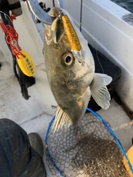syowozf6mdudp565cnyt_361_480-ec0f5259.jpg