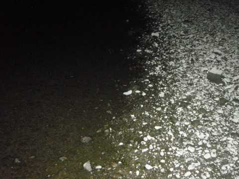 sz4fvpner4d2ifwpib7v_480_480-23b17f16.jpg