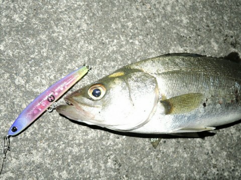 sz8kbff28rnzmod6x7rx_920_690-c52d116a.jpg
