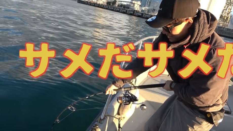 Compass Of Your Dream 東京湾でサメがトリプルヒット