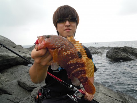 szhkwymm46crk8nz58ua_480_480-f469808c.jpg