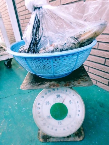 szxayyknhjzbg28g8f7o_690_920-0b39c30c.jpg