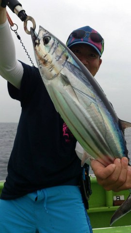 t2byfjnjsy6t5zd8ej3e_480_480-6ae693cb.jpg