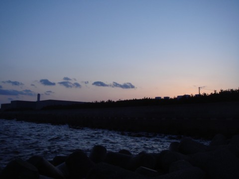 t2e5g388nrurax39smdn_480_480-0e2821ff.jpg