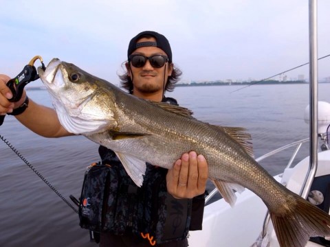 t386hwtgyecawimdx546_920_690-846ab5d3.jpg