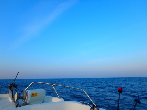 t39esok3t9eupixvy4wp_480_480-bc745109.jpg