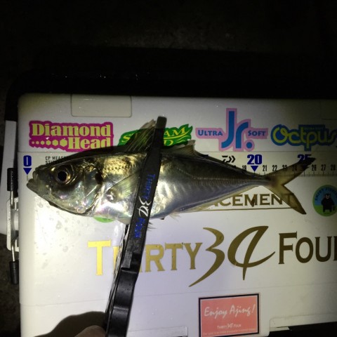 t3fuaj92vn54betjb5y8_920_920-ed8dea70.jpg