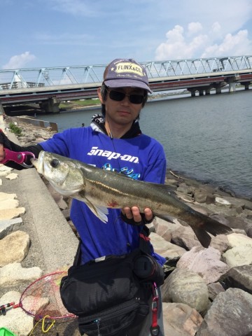 t3s824yw82awm93jo7hm_480_480-8459a343.jpg