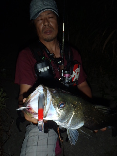 t3y2tek8prkf5fzrn4cg-62bb9b11.jpg