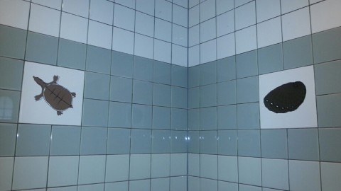 t4xxvnttd8xyj5ntyc3e_920_518-97f7c195.jpg