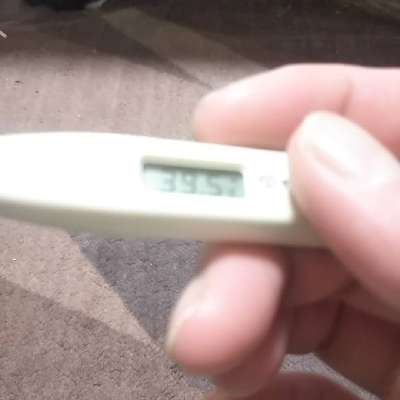 t544vsk4cpzbbsmcctkw-58f831ba.jpg