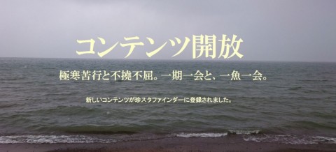 t5acf4zumik5ifzi6c3s_480_480-1a0e4a3a.jpg