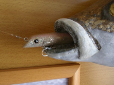 t5f4efci7o9iyugy3tc9_920_690-43251f26.jpg