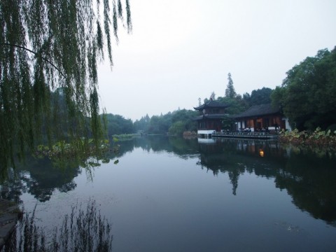t5m6s2o7k73wgf38asp3_480_480-e5800b27.jpg