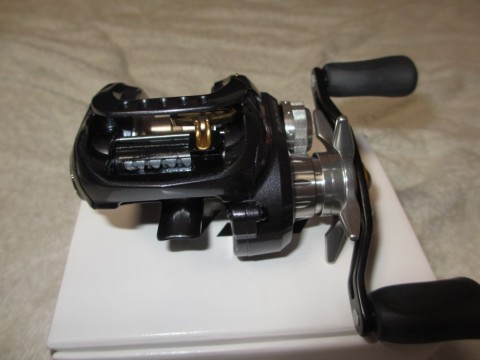 t5ocbiuosthwjk877rj6_480_480-4a906e75.jpg