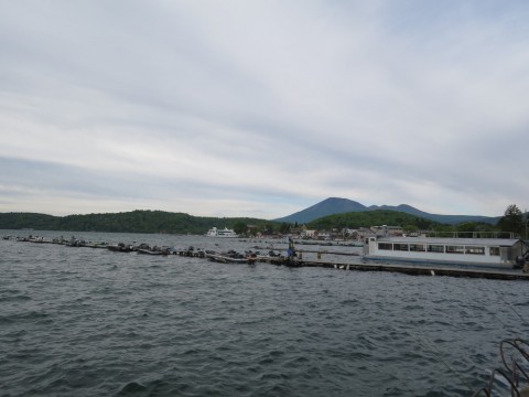 t6b35rbfoayrmsrhnzd4_480_480-8c51394d.jpg