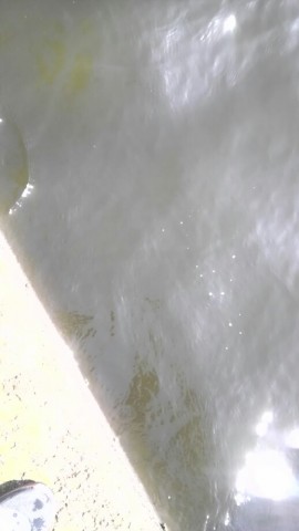 t6mhwrdtoivhmtgzseps_518_920-0db99b4d.jpg