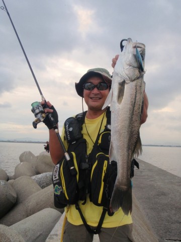 t6njuarywr3k8chb47wt_480_480-6f459a6a.jpg