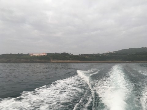 t6wm524fpv2r6yp4mwve_920_690-b3b4d712.jpg
