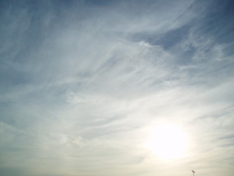 t7348376p5758w9zoh6h_480_480-6a01507e.jpg
