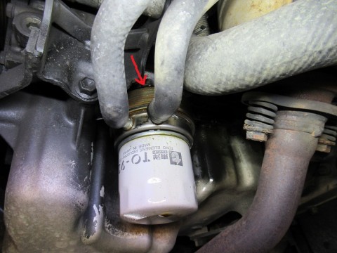 t73e342xhgwaiv2ktoww_480_480-6566c820.jpg