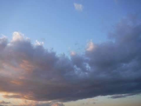 t79grx2ook2rxwr7add2_480_480-482791bc.jpg