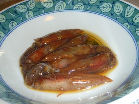 t7ajhi6f7izwby5n83z2_480_480-20517140.jpg