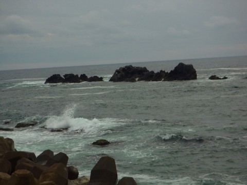 t7b2psvvx22tebbc8fax_480_480-64786b43.jpg