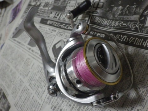 t7dotj6wfk2xe28mu8mk_480_480-63083576.jpg