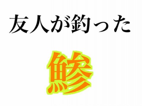 t7t4n3cddvu8i5kw3dsu_480_358-cb7e82a1.jpg