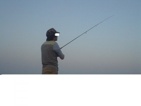 t822ferarckouiyhph8y_480_480-cff424ac.jpg