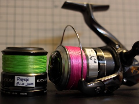 t8g7gh35gyib3judd7kj_480_480-377d49af.jpg
