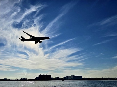t8imjh7rizstaxxwzeip_480_480-2c450606.jpg