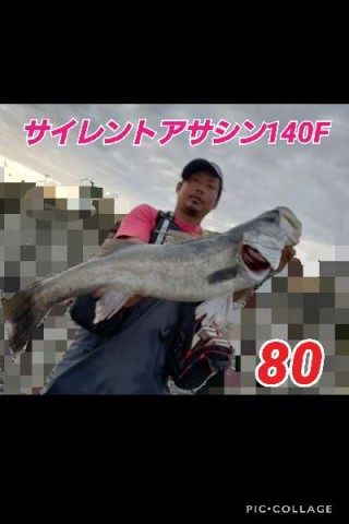 t8jjsgoxmwyp4w3wb4xk_480_480-d11f855e.jpg