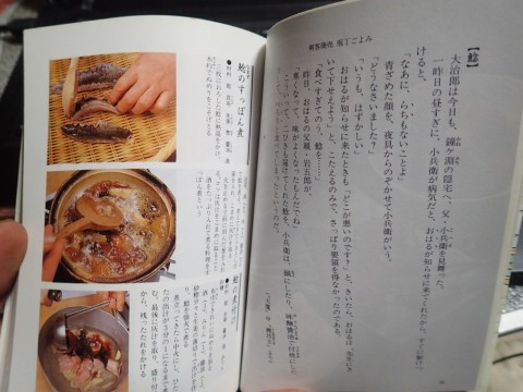 t8t2mrpuiypdvto22dwd_480_480-cb677524.jpg