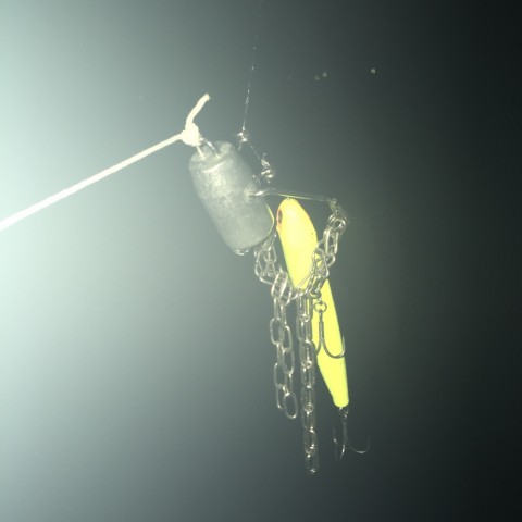 t8uguckpnv9aaebtjvut_920_920-711769a7.jpg