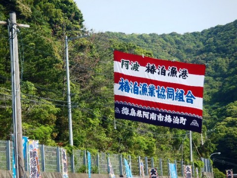 t92th9nr72dm23dht82i_480_480-cb5b020b.jpg