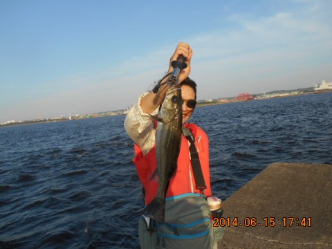 t9depnsszydeoaz8gjwr_480_480-0d0927a8.jpg